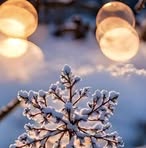 Monika Grimm - Facebook