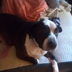 Monica G Grubb - Facebook