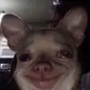 Monica - @monica.harold_ - TikTok