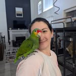 Monica Hebert - @puffertopia - Instagram