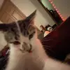 Monica Hebert - @monica.hebert - TikTok