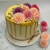 monica.delights - @monica.delights - TikTok