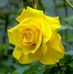 Monica Herrmann - Facebook