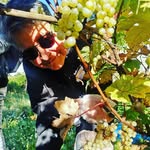 Monika Herrmann - @herrmann.kreuzberg - Instagram