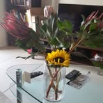 Monica Hildreth - Facebook