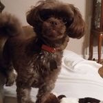Monica Hinds - @monksbubba - Instagram