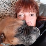 Monica Holcomb - @monicaboxermom - Instagram