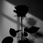 Monica Joyce - Facebook