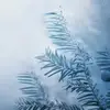 Monica Kainz - @monica.kainz - TikTok
