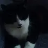 monicakainuku - @monicakainuku - TikTok