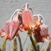 Monica Kessler - Facebook