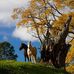 Monica Kessler - Facebook