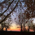 Monica Kirkpatrick - @_mona_kirk_ - Instagram