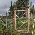 Monica Kopp - @tiltedhillsfarm - Instagram