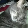 monicalamb84 - @monica.lamb3 - TikTok