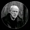 david gilmour - @monicallance123 - TikTok