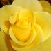 Monica Lockie - Facebook