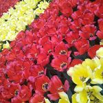 mommy - @monica.malatesta.52 - Instagram