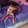 Monika - @monikamalinowska55 - TikTok