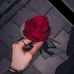 Monica Manuel - Facebook
