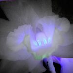 Monica_March_elitegarden - @monica.march_elitegarden - Instagram
