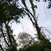 Monica Markley - @monicamarkley1 - TikTok