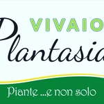 Monica & Max - @vivaio_plantasia_plant - Instagram