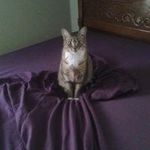Monica Holden Maynard - @turtlegirl1963 - Instagram