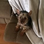 Monica McCarty - @febe_girl_123 - Instagram