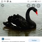 Dr Mônica Mendonça Vieira - @monica_mendonca_vieira - Instagram