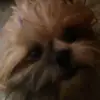 Monica Mendonca - @monicamendonca1 - TikTok