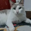 Monica Mera - @monicamera368 - TikTok