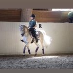 Monica Müller - @monica1.muller - Instagram