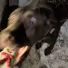 monicamunsonn - @monicamunsonn - TikTok