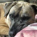 Monica Nash - @monashtag - Instagram