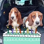 Monika Nolan - Facebook