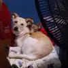 Monica - @monica.a.parrish - TikTok