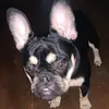 Monica Patrick - @monica.patrick08 - TikTok