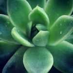 Monica Penn - @ffhs_photography - Instagram