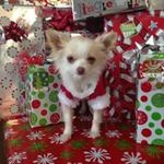 Monica Wright Phipps - @wrightphipps - Instagram