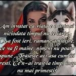 Monica Pop Andrei - @monicapopandrei - Instagram