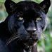 Monica Pozzi - Facebook