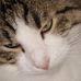 Monica Pozzi - Facebook