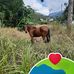 Monica Rubio - Facebook