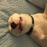 Monica Rupp - @monicarupp5.7 - Instagram