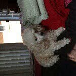 monica simmons - @chelseaanseally - Instagram