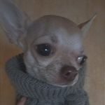 small_princesses_monica - @small_princesses_monica - Instagram