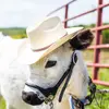 Monica snell - @white_oak_farm - TikTok