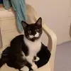 Monica Söderlund - @monica.sderlund - TikTok