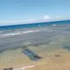 monica spears - @monica.spears7 - TikTok